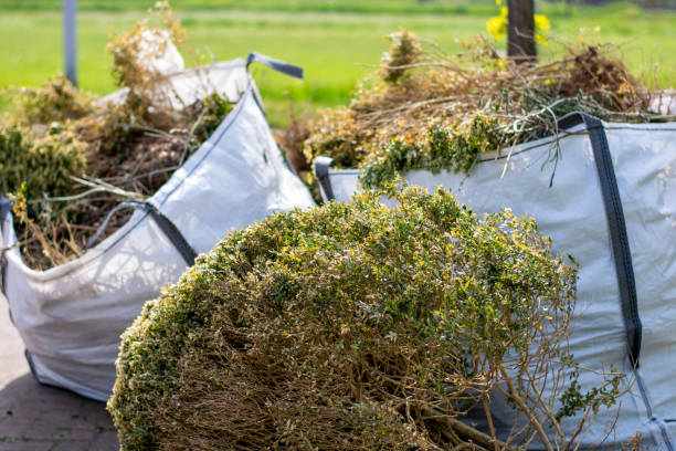 Best Attic Cleanout Services  in Lemoore Station, CA